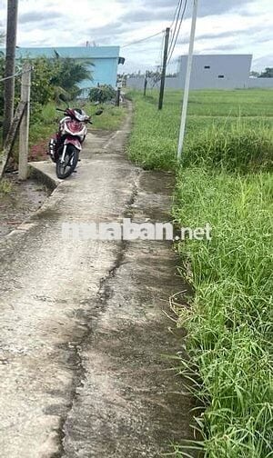 Ban 5x42 m thồ cư  đường đan thông thoáng gần công ty may Đại Lục