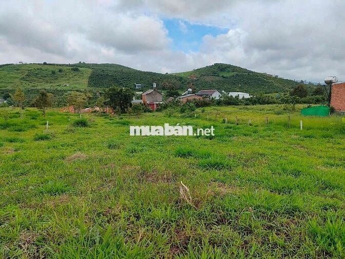ĐẤT ĐẸP PHƯỜNG 3 CÓ AO GIÁ TỐT