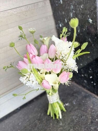 Bán đất thổ cư tỉnh Đồng Nai (Bình Phước cũ)