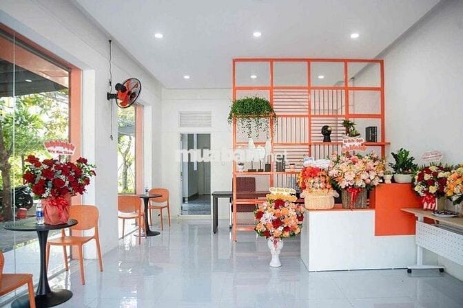 Mặt bằng kinh doanh - Võ An Ninh, Hoà Xuân