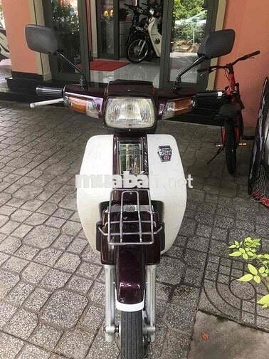 bán dream thái tem hồng