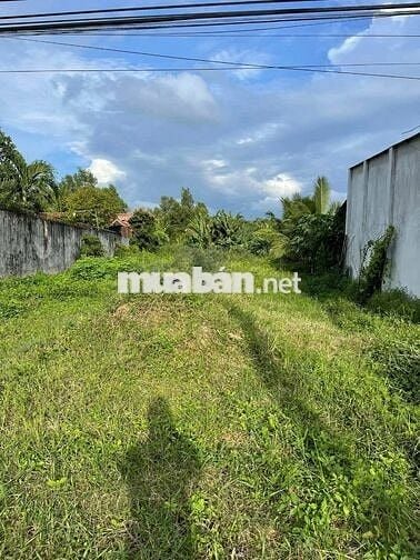 600Triệu Mặt tiền đường HL2 12x50m-Cạnh KCN Trảng Bàng-Sổ Hồng Riêng