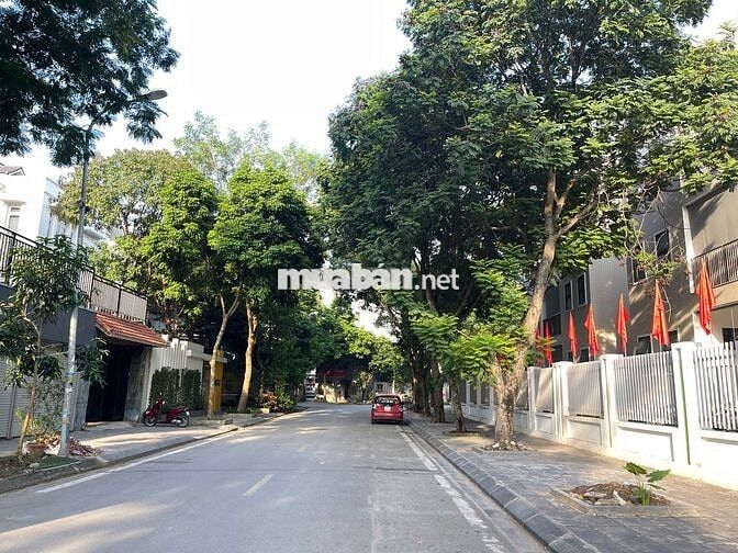 CHÍNH CHỦ CHO THUÊ NHÀ MẶT PHỐ GIÁ RẺ!
