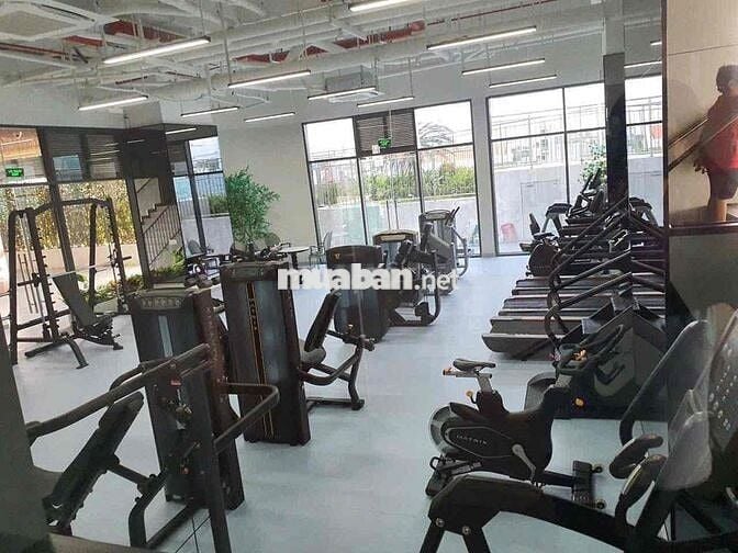 D-Homme Q6, W2-12-2, 50m², 1PN 1WC, nhà trống, thuê 11tr/tháng, ở liền