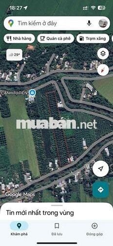 BÁN 6706M2 ĐẤT TRỒNG SẦU RIÊNG THÁI ĐÃ CHO TRÁI TẠI LONG HỒ-VĨNH LONG