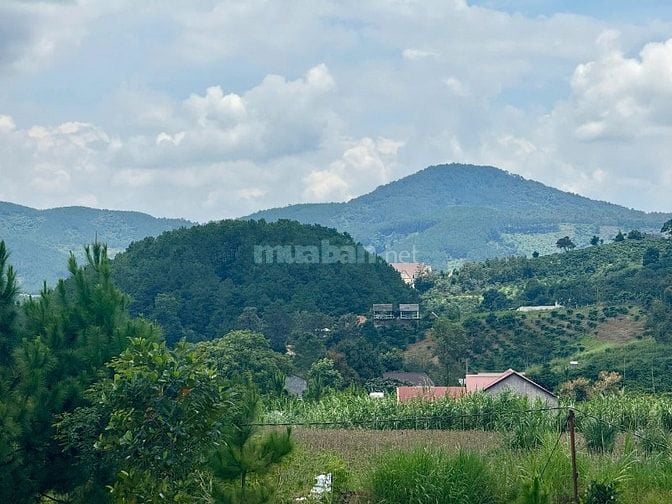 Bán đất Nam Hà 390 triệu, vị trí chính giữa sân bay và Đà Lạt