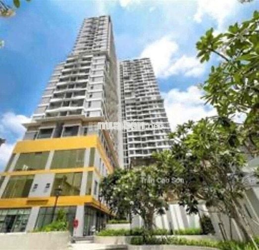 D-Homme Q6, W2-12-2, 50m², 1PN 1WC, nhà trống, thuê 11tr/tháng, ở liền