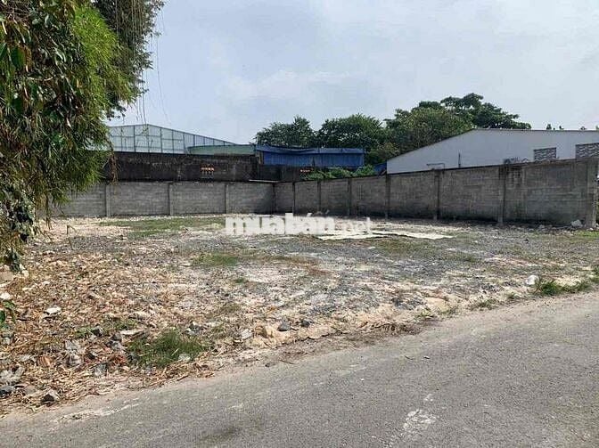 CHỦ BÁN NHANH LÔ ĐẤT 202m² TÂN THÔNG HỘI – SANG NƯỚC NGOÀI ĐỊNH CƯ