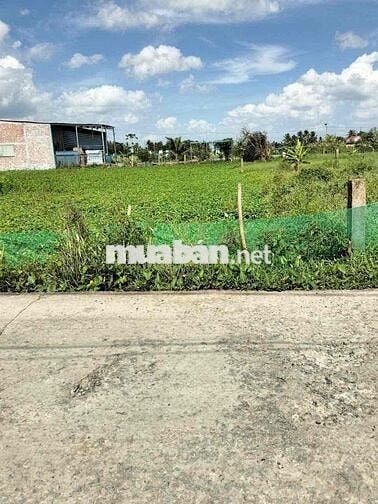 cần bán lô thổ cư tại Tân trụ DT 150m2 giá tẻ