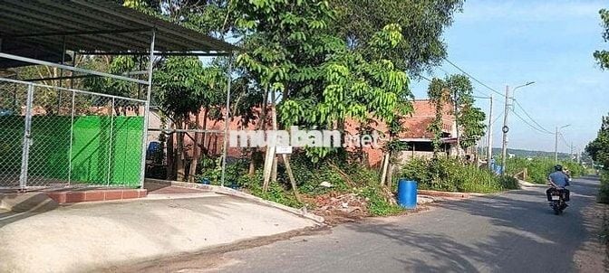 ĐẤT PHÚ AN BẾN CÁT 11x91 THỔ CƯ 150M I HÌNH XÂY TRỌ LÀM KHO OK NHỰA 4m