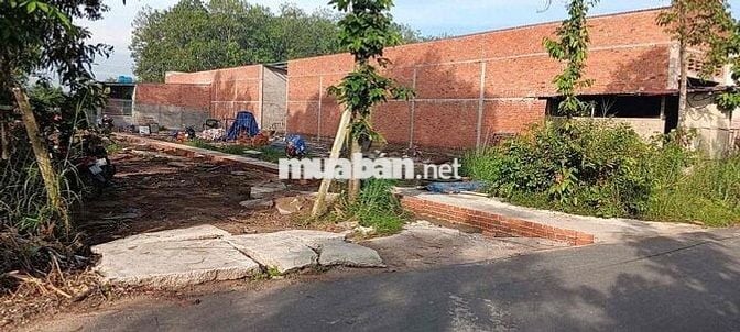 ĐẤT PHÚ AN BẾN CÁT 11x91 THỔ CƯ 150M I HÌNH XÂY TRỌ LÀM KHO OK NHỰA 4m
