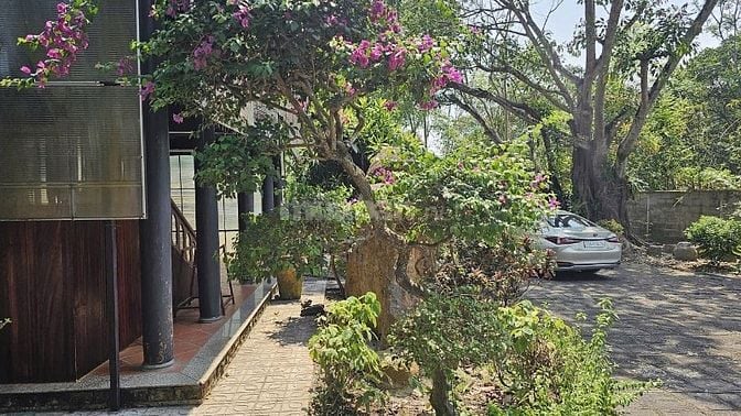 Bán nhà vườn Nguyễn Thị Chiên, Tân An Hội, Củ Chi: 13.381m2, giá 30 tỷ