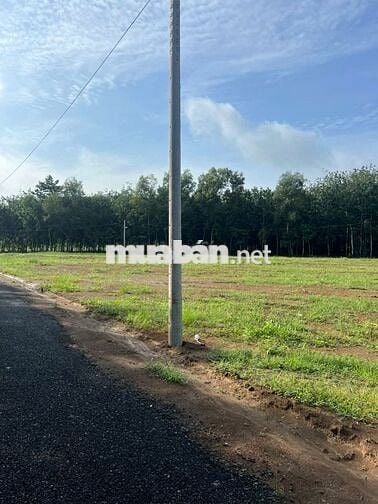 *** 1 LÔ 600M² - GIÁ 550 TRIỆU - MẶT TIỀN ĐƯỜNG 32M
