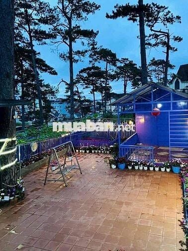 🏡 VILLA MẶT TIỀN ĐA MINH 276M2 KINH DOANH THU NHẬP TỐT TẠI ĐÀ LẠT