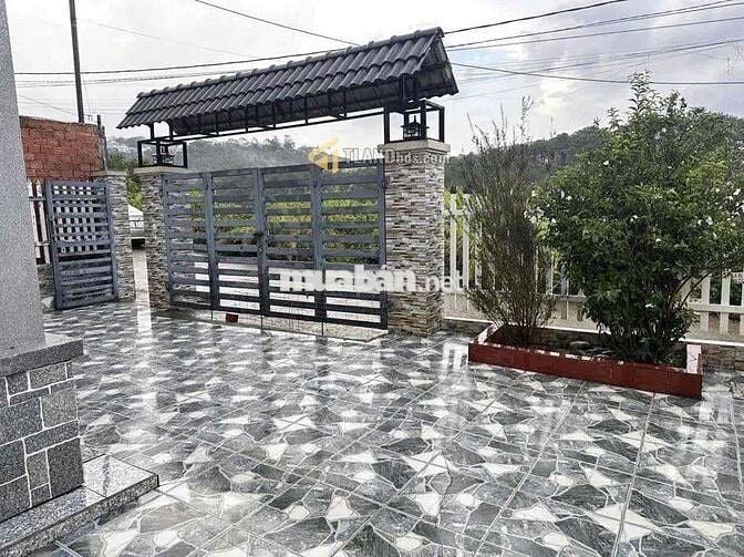 🏡 VILLA HẺM 2 Ô TÔ LỚN HOÀNG HOA THÁM - VIEW THUNG LŨNG NGAY TRUNG TÂM