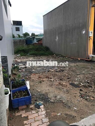 Đât Mặt Tiền Đường Nhựa. Full Thổ Cư. XD Tự Do