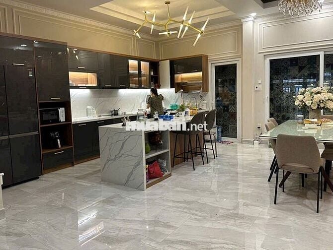Cần cho thuê Villa HXH 80/2A Gò Dầu P.Tân Quý Q.Tân Phú