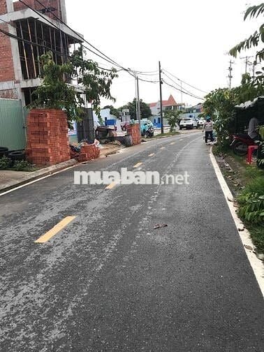 Đât Mặt Tiền Đường Nhựa. Full Thổ Cư. XD Tự Do