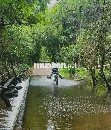 Đất Trồng Cây CN Lâu Năm và Ở Nông Thôn