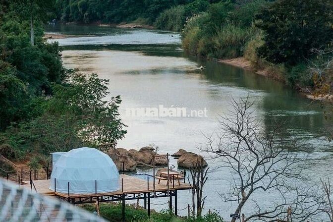 Đất Trồng Cây CN Lâu Năm và Ở Nông Thôn