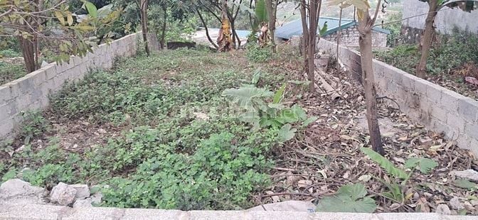 đất chính chủ người nhà e cần bán ib zalo 0898330698 e gửi thêm tt