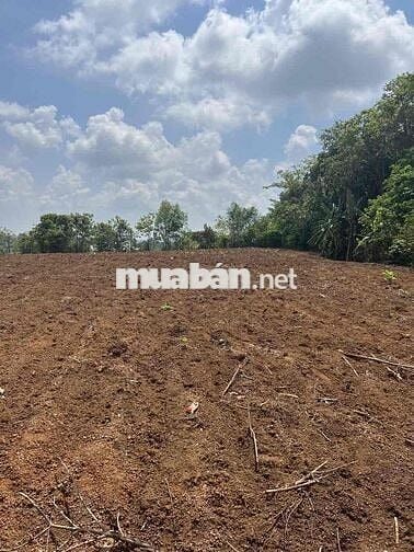 Cần bán đất bình an long thành đường vành đai 4 cách sân bay 6km