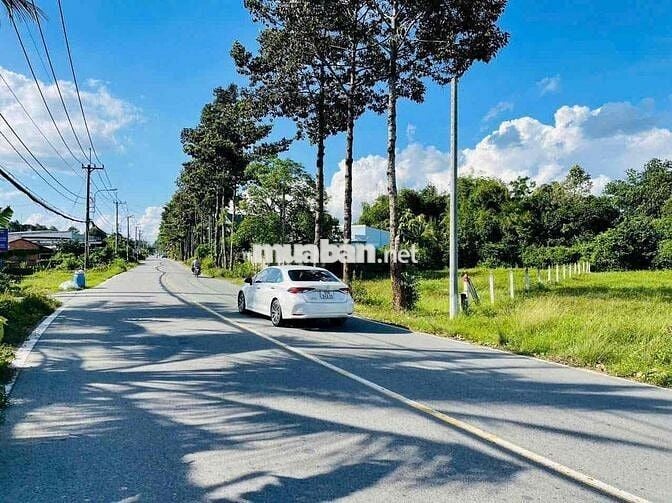 🌳 CHÍNH CHỦ CẦN BÁN LÔ ĐẤT ĐẸP TẠI XÃ THÁI MỸ, CỦ CHI 🌳