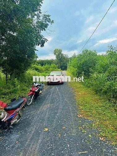CHÍNH CHỦ CẦN BÁN ĐẤT ĐƯỜNG NGUYỄN THỊ RÀNH – AN NHƠN TÂY, CỦ CHI