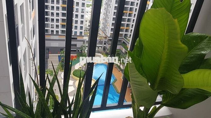 Cập nhật giỏ hàng cho thuê giá ưu đãi Lovera Vista Tháng 10 - 2025