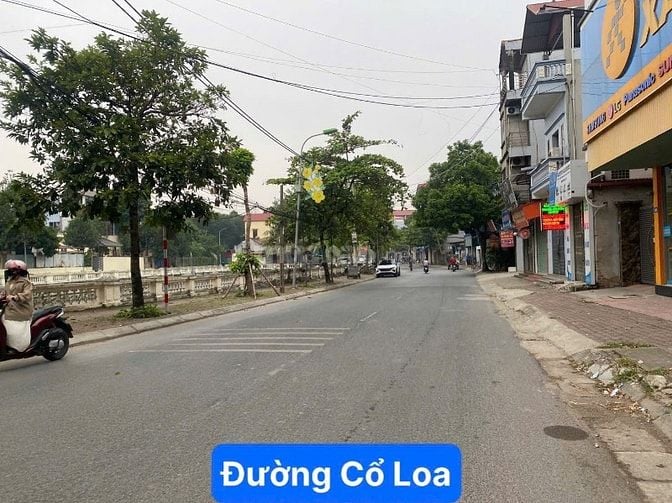 Bán đất tại Xã Cổ Loa, Đông Anh, Hà Nội, 92 triệu / m2, 51.6 m2