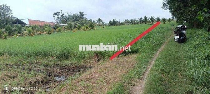 ĐẤT THỔ NẰM CẠNH VINHMES HẬU NGHĨA 197HA