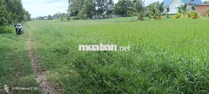 ĐẤT THỔ NẰM CẠNH VINHMES HẬU NGHĨA 197HA