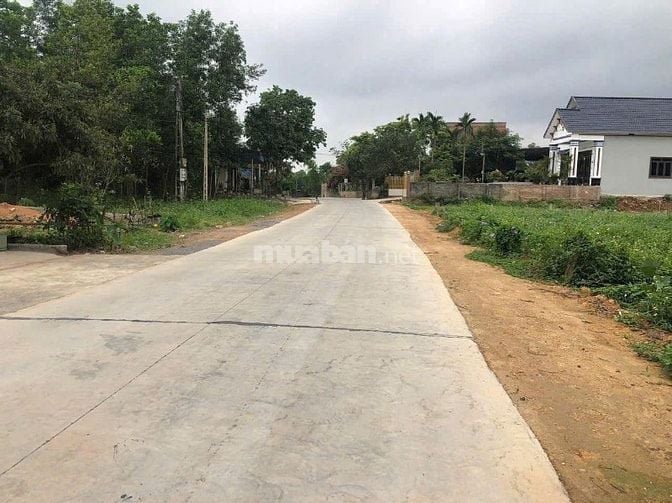 đất nền thạch thành thanh hoá giá rẻ