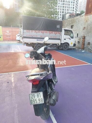 Bán xe Honda Airblade mầu đen chính chủ còn tốt