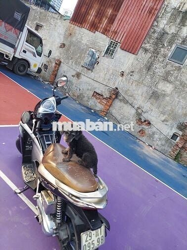 Bán xe Honda Airblade mầu đen chính chủ còn tốt
