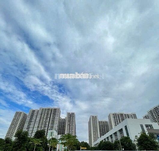 ĐẤT AN DÀO , ĐƯỜNG THÔNG VINHOMES CỰC ĐẸP ĐẤT AN DÀO , ĐƯỜNG THÔNG VINHOMES CỰC ĐẸP