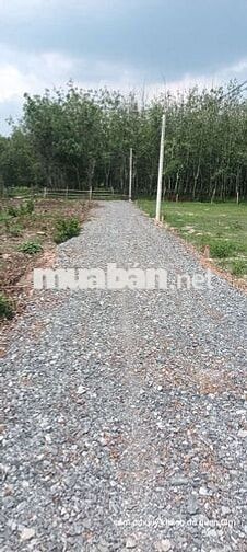 Chính chủ cần bán ace quan tâm gọi trực thiếp
