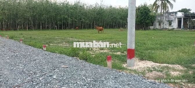 Chính chủ cần bán ace quan tâm gọi trực thiếp