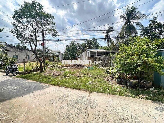 Nền Cầu Sang Trắng 1 - 5,5m x 55m  có 149m2 thổ cư + 245m2 CLN