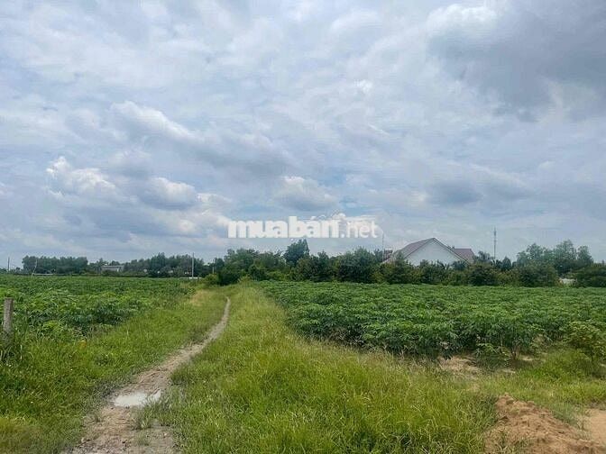 vĩnh thanh 1/ nguyễn ái quốc cách 50m