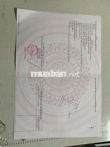 Bán đất thổ ,lúa full nền mặt tiền ql 62 xã Tân Đônghuyện Thạnh Hóa LA