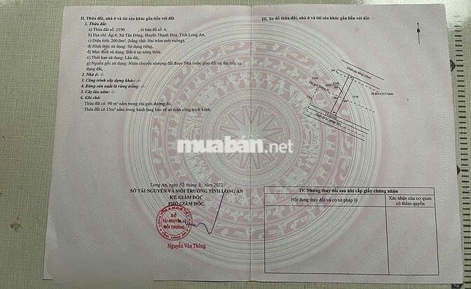 Bán đất thổ ,lúa full nền mặt tiền ql 62 xã Tân Đônghuyện Thạnh Hóa LA