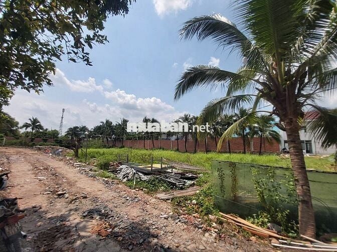 3459m²  ĐẤT TRUNG LẬP HẠ – VỊ TRÍ ĐẸP KÈM THỔ CƯ