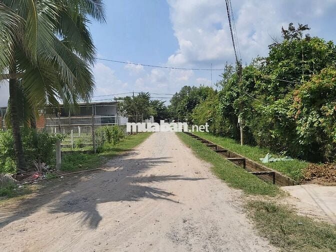 3459m²  ĐẤT TRUNG LẬP HẠ – VỊ TRÍ ĐẸP KÈM THỔ CƯ