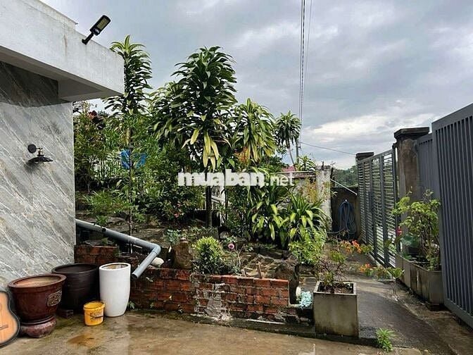 Chủ định cư nước ngoài cần bán căn nhà tâm huyết