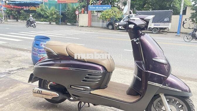 peugeot nhập pháp biển 61