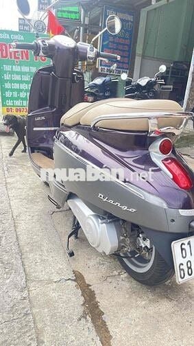 peugeot nhập pháp biển 61