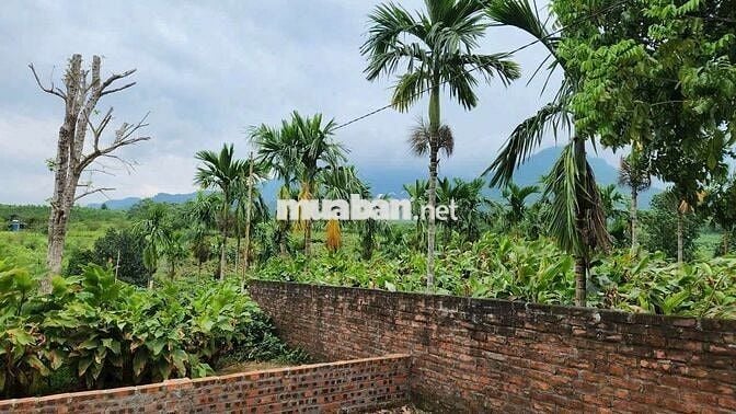 Cắt lỗ lô đất bám Hồ, tay chạm nước chân núi Ba Vì