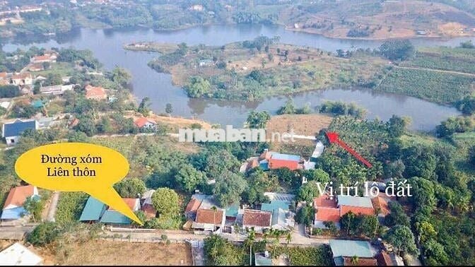 Cắt lỗ lô đất bám Hồ, tay chạm nước chân núi Ba Vì