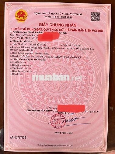 Cắt lỗ lô đất bám Hồ, tay chạm nước chân núi Ba Vì